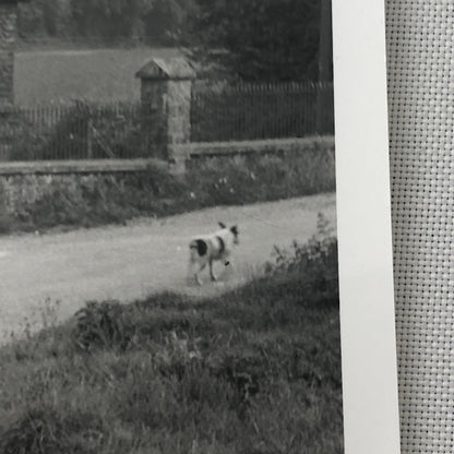 Vintage Car Automobile Outside Estate Home Photo Photograph Print - Lagonda ? 