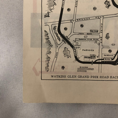 Vintage Watkins Glen Sports Car Road Race Poster Cobra Ferrari 250 SCCA