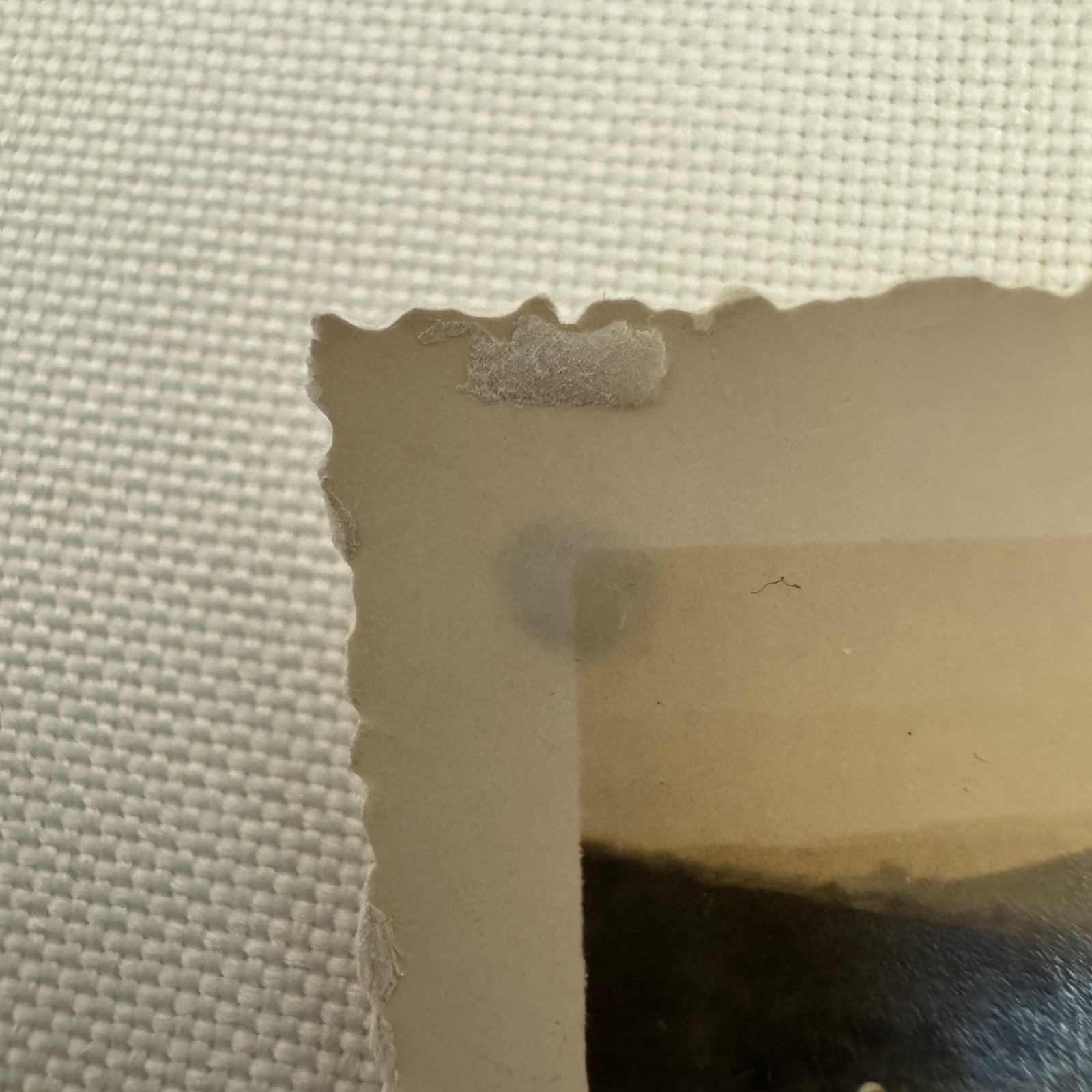 Vintage Racing Car Photo Photograph Early Automobile Motorsport