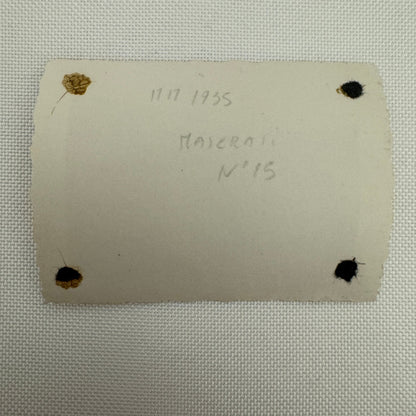 Vintage Racing Car Photo Photograph Early Automobile Motorsport