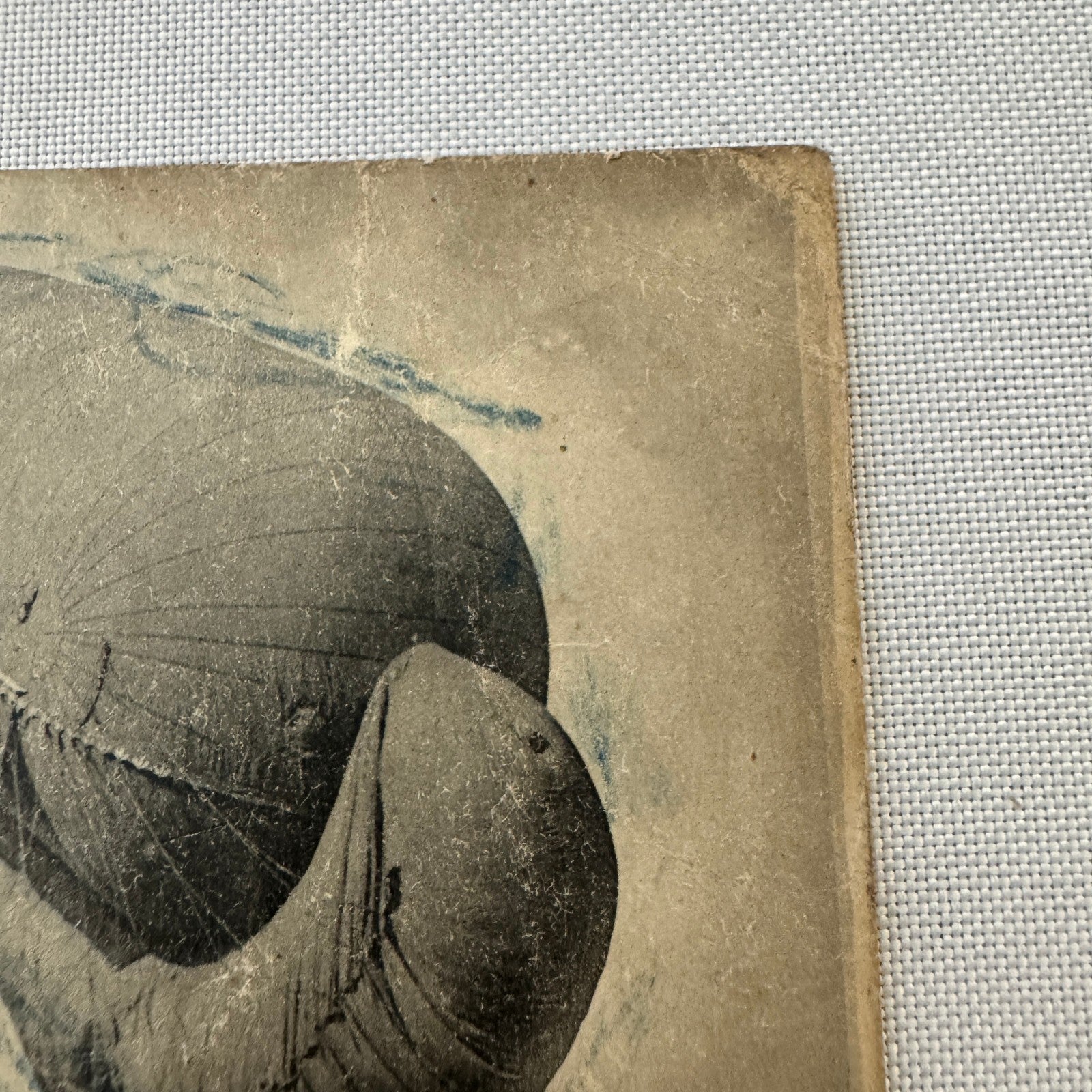 Vintage Zeppelin Airship Dirigible Postcard Post Card French