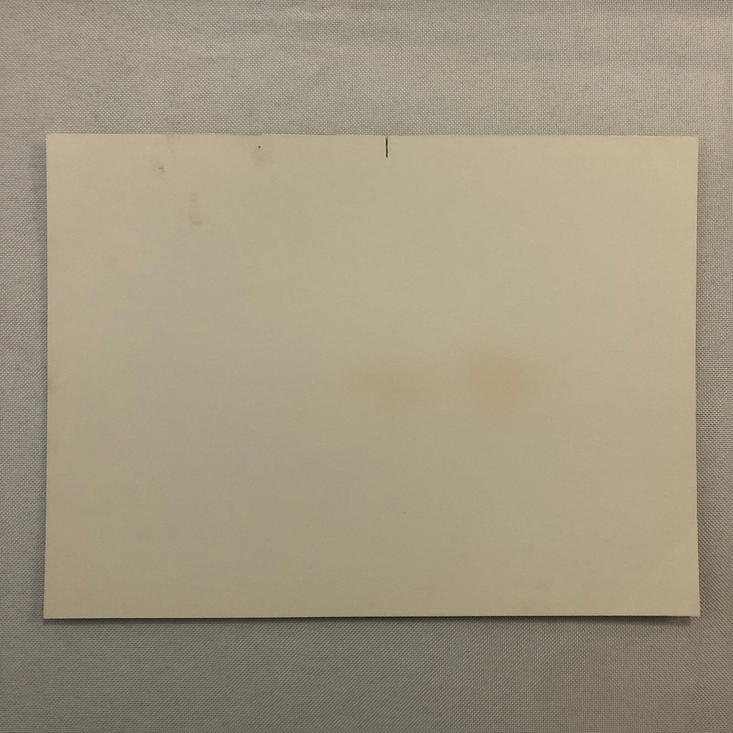 Katharine Hepburn Actress Photo Photograph Print Movie Still