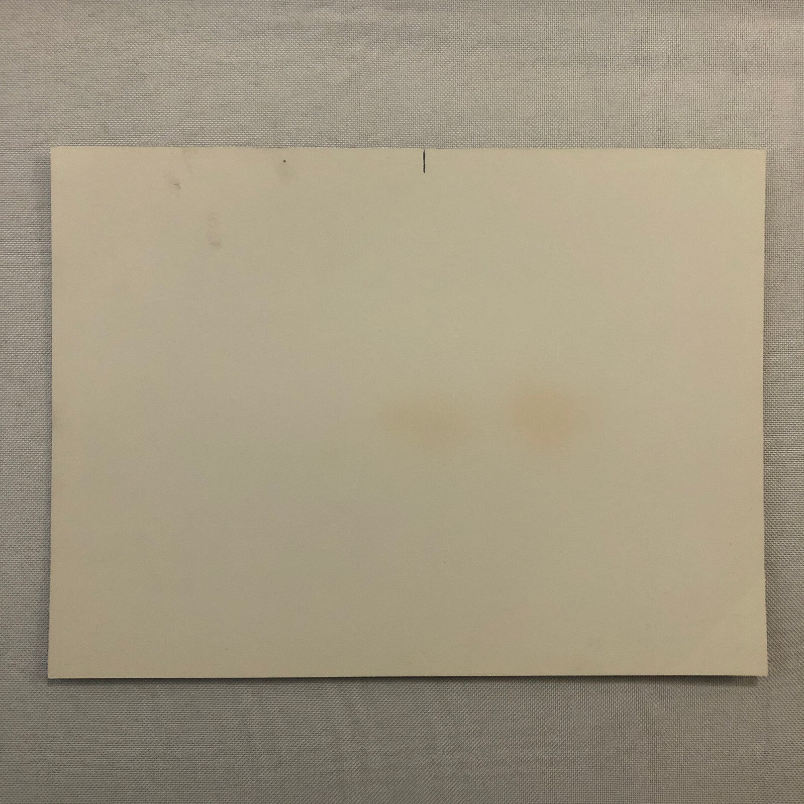 Katharine Hepburn Actress Photo Photograph Print Movie Still