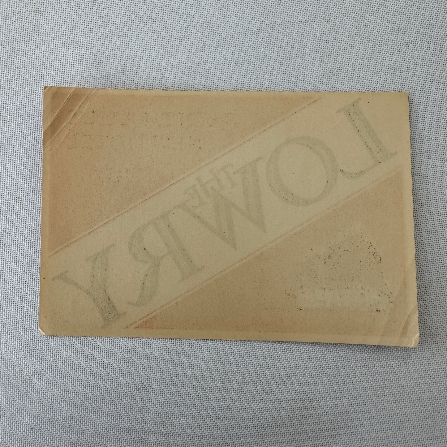 Vintage Hotel Travel Luggage Label The Lowry Hotel St Paul