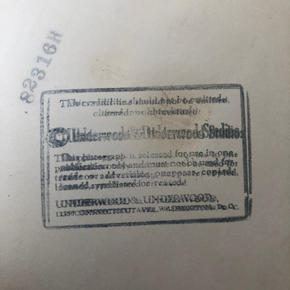 Press Photo Photograph Society Woman Secretary of War Wife Mrs George Dern 1933
