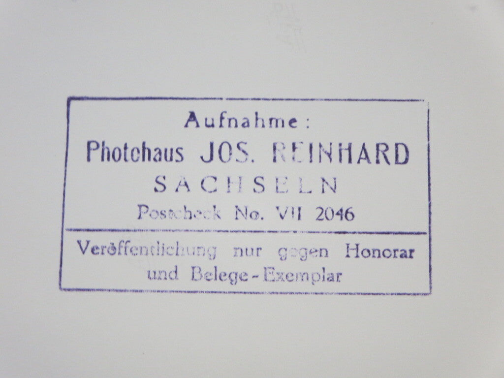 Vintage 1973 Dutch Grand Prix Racing Photograph Photo - Ronnie Peterson Lotus 