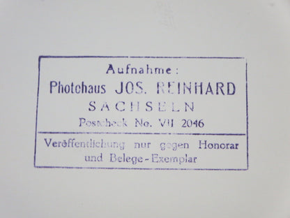 Vintage 1973 Dutch Grand Prix Racing Photograph Photo - Ronnie Peterson Lotus 