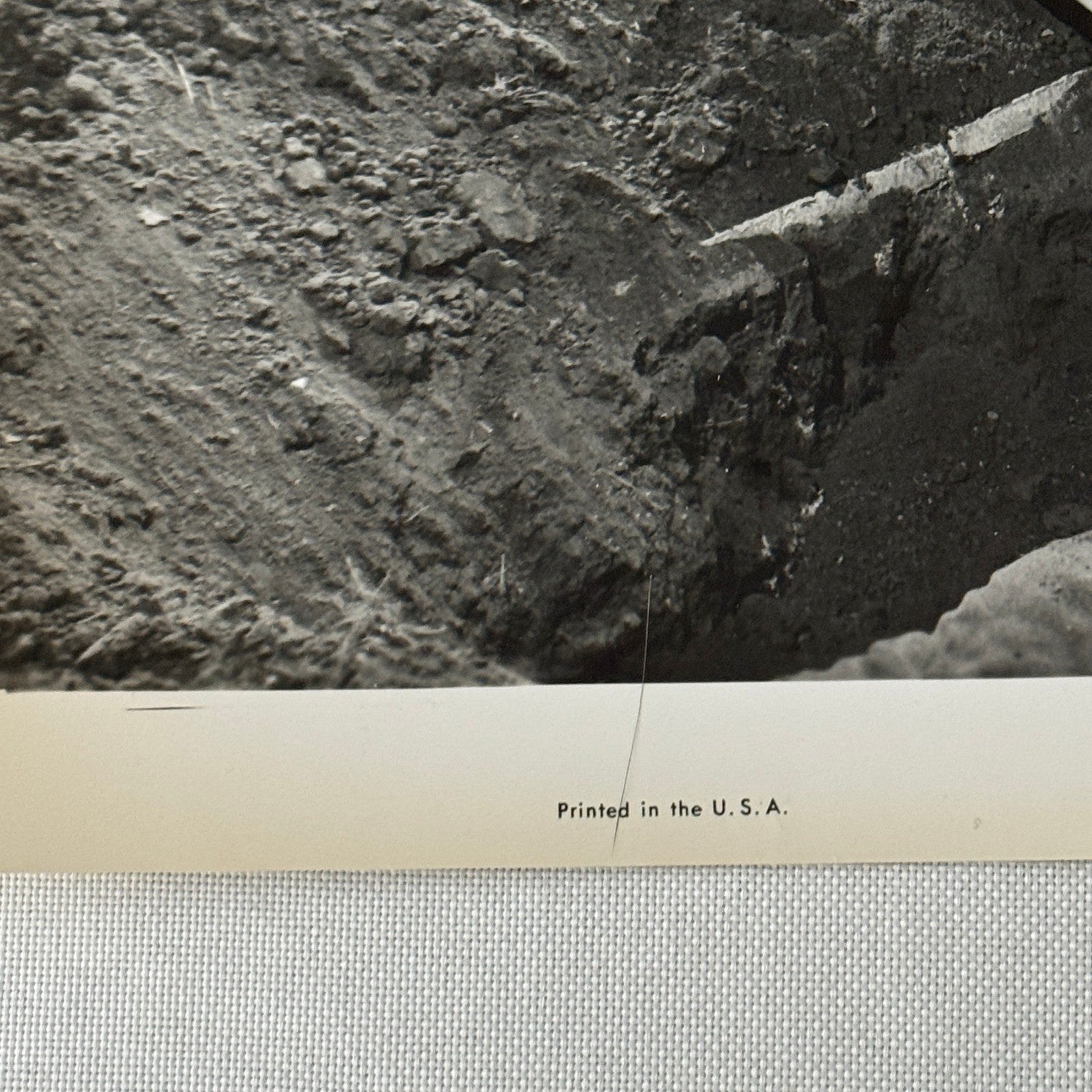 Vintage Movie Still Press Photo Photograph The Murder Game 20th Century Fox