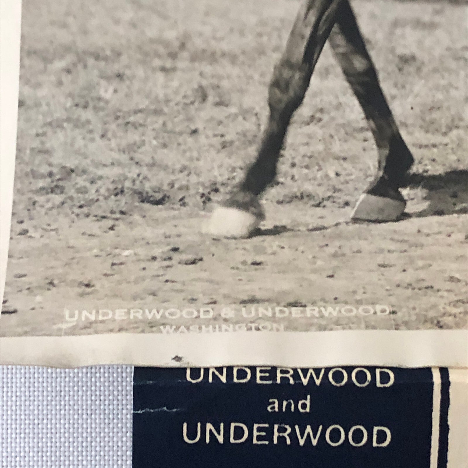 Press Photo Photograph Horse Stunt Show Cavalry 1932 Underwood & Underwood