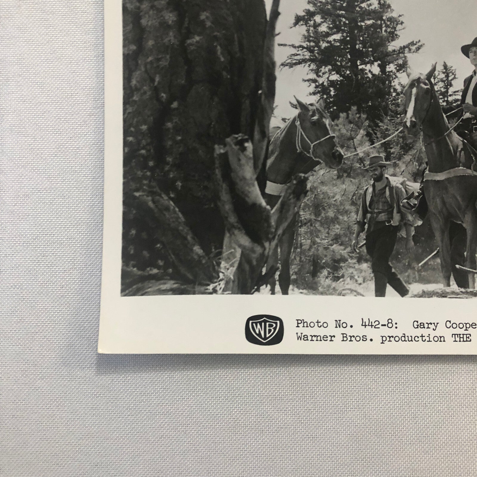 Actor Gary Cooper The Hanging Tree Movie Press Photo Photograph Warner Brothers