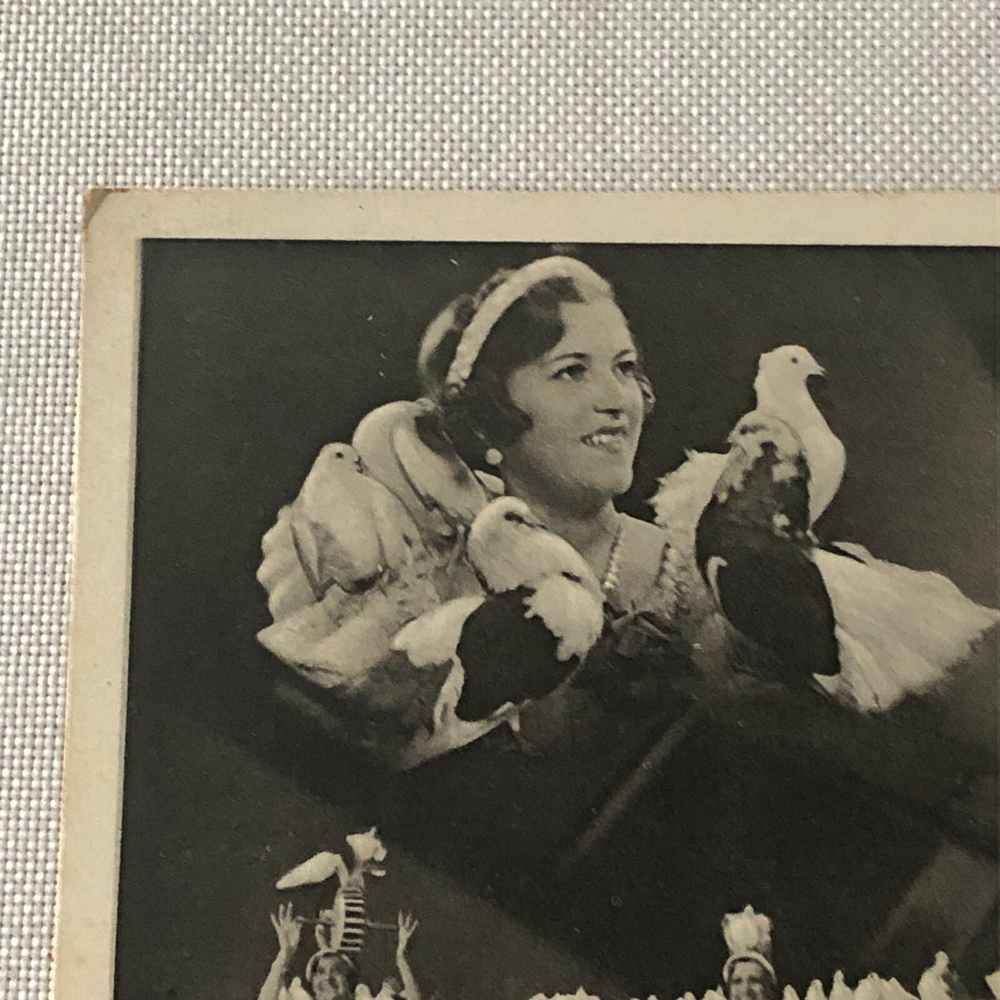 Circus Bird Training Act Postcard Post Card Vintage Mirza's Pracht Tauben Akt