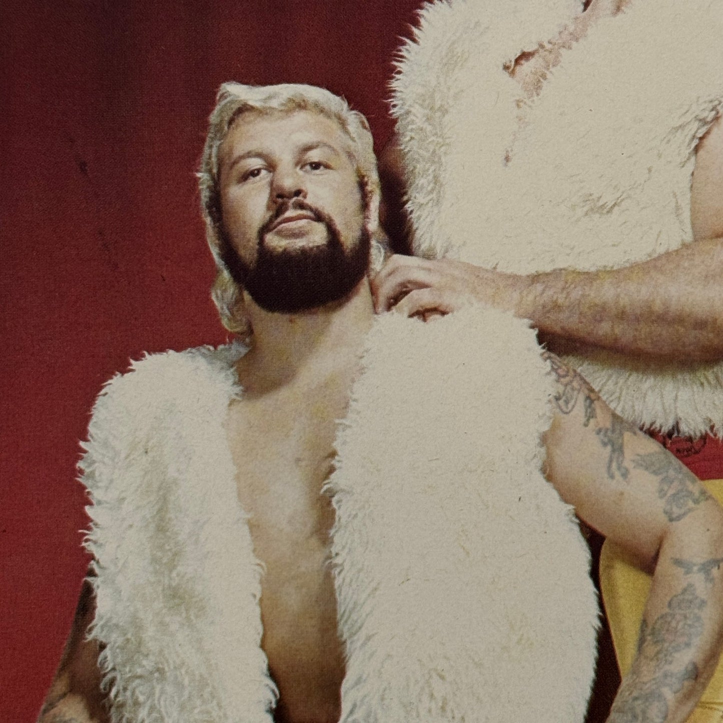 Vintage Wrestling Print Insert Nick Carte Sweet Williams Quebec French 1973