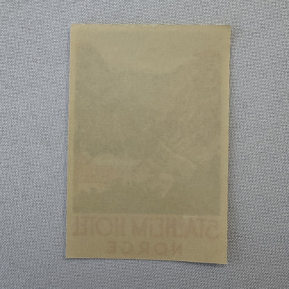 Vintage Hotel Travel Luggage Label Stalheim Hotel Norway Norwegian