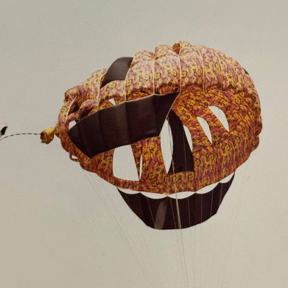 Vintage Skydiving Parachute Photo Large Format Aviation Photograph 1970s-80s