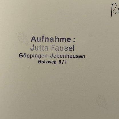 Vintage Racing Photo 1971 Hockenheim F2 Race Ronnie Peterson Driver Motorsport