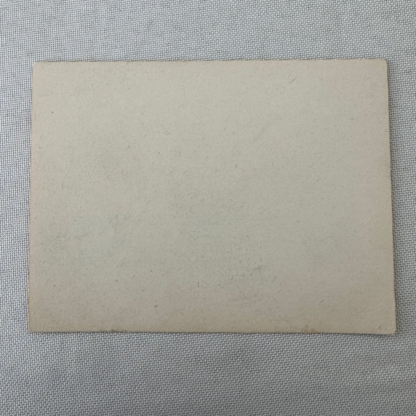 Vintage Hotel Travel Luggage Label Grand Hotel Savoia Rapallo Italy Italian