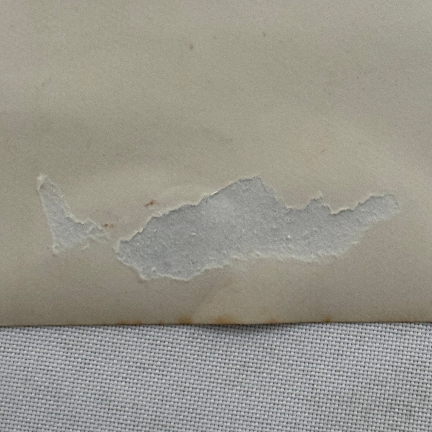 Vintage Circus Acrobat Act Balancing Photo Photograph Les Florentinos