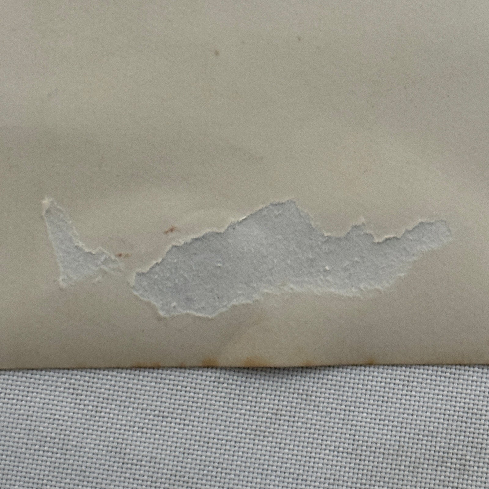 Vintage Circus Acrobat Act Balancing Photo Photograph Les Florentinos