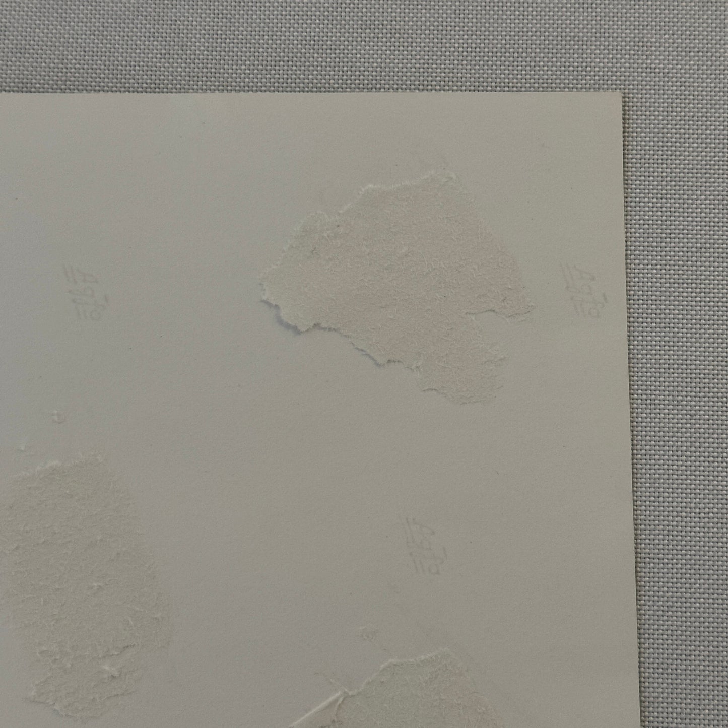 Vintage Porsche Racing Car Photo Photograph