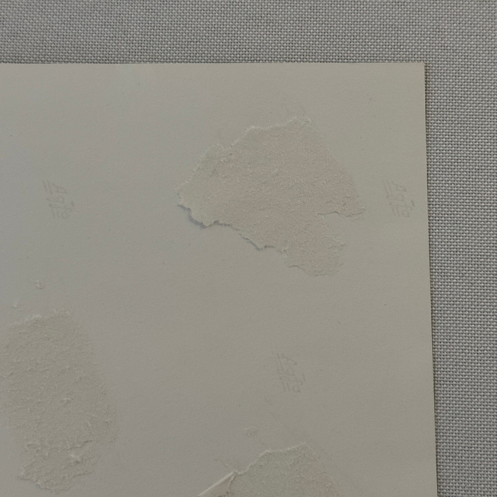 Vintage Porsche Racing Car Photo Photograph