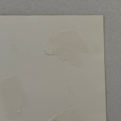 Vintage Porsche Racing Car Photo Photograph