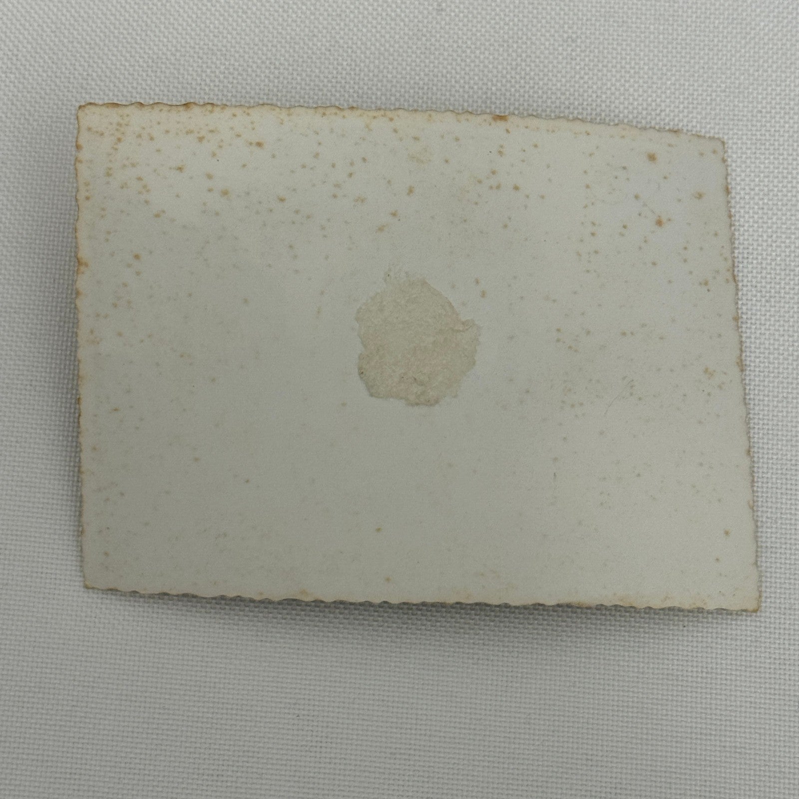 Vintage Alfa Romeo Car Automobile Photo Photograph Print