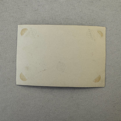 Vintage Porsche Racing Car Driver Photo Photograph