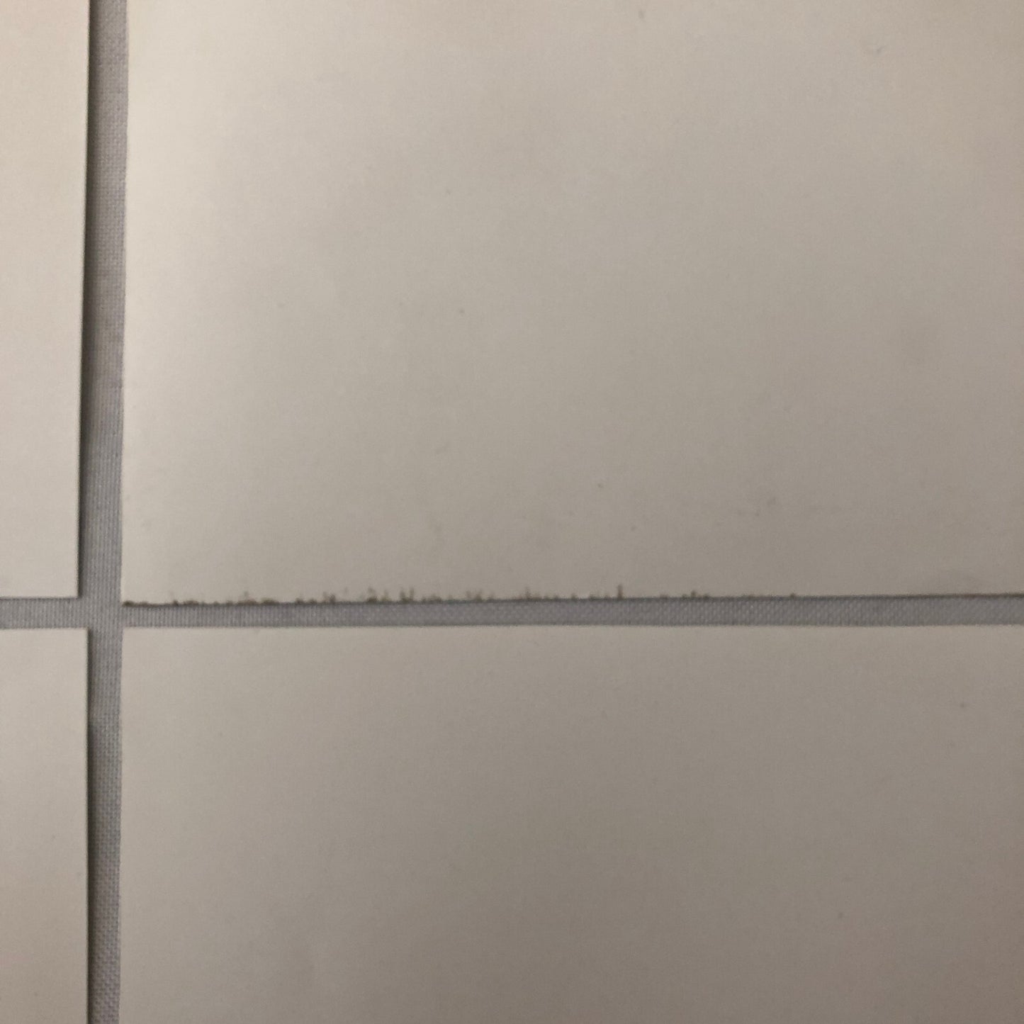 Porsche 911 Carrera Photo Cabriolet Convertible Automobile Photograph Lot of 4