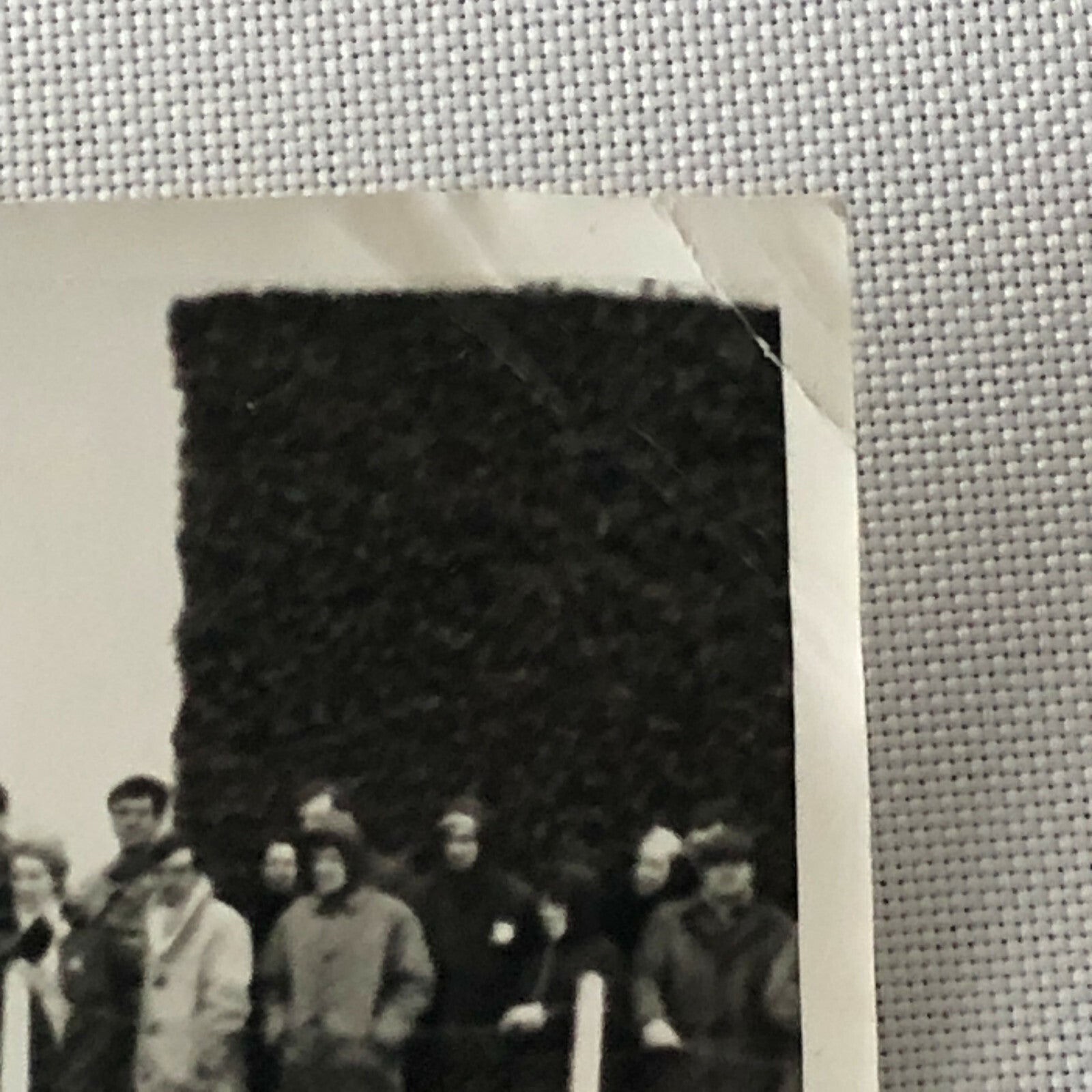 Vintage MINI Racing Car Photo Photograph Print