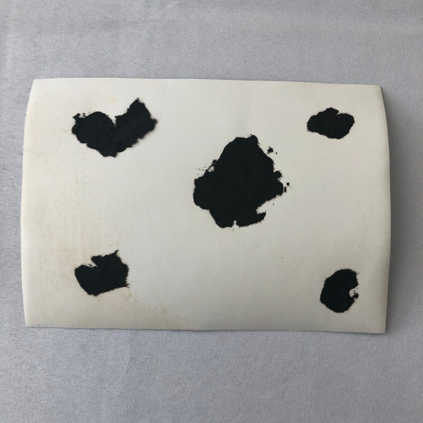 Vintage Motorcycle Racing Photo photograph BMW Sidecar Side Car Bike