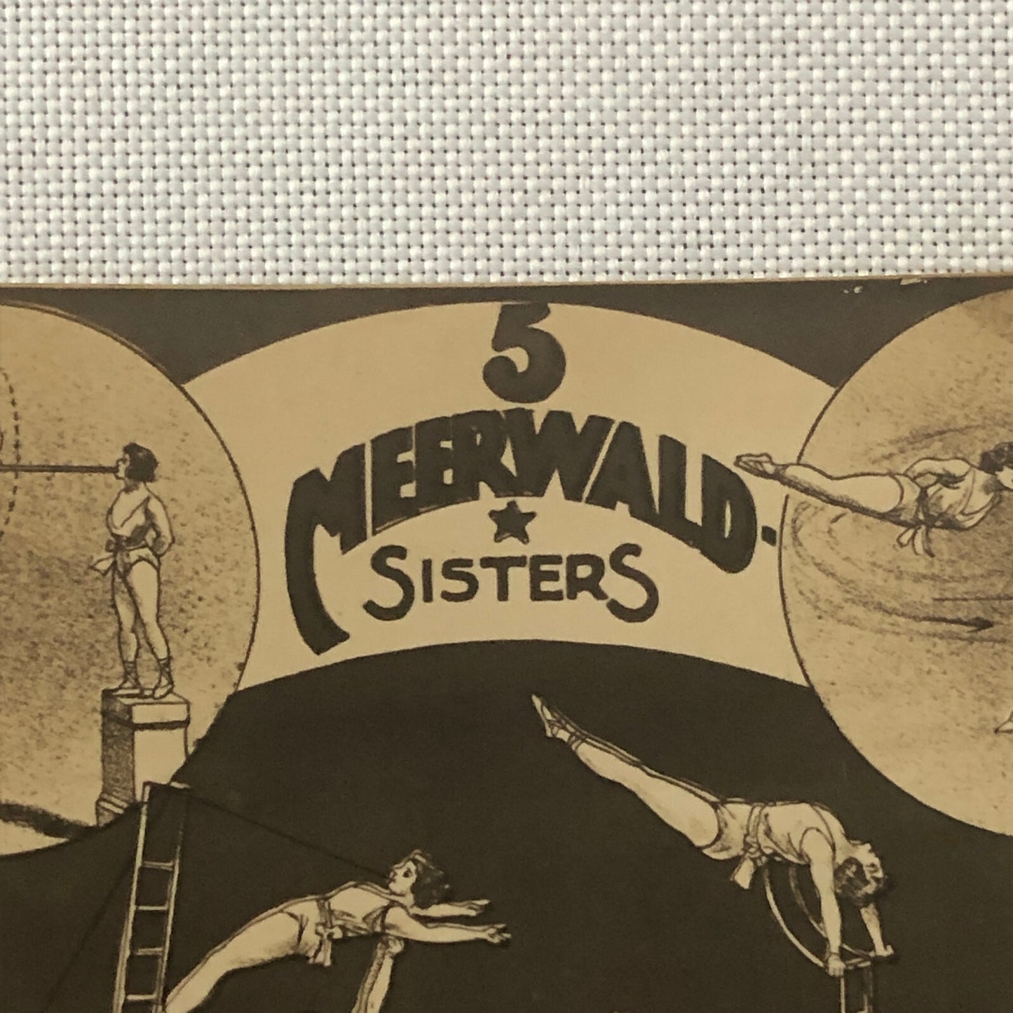 Circus Performer Postcard Post Card Acrobat Act 5 Meerwald Sisters