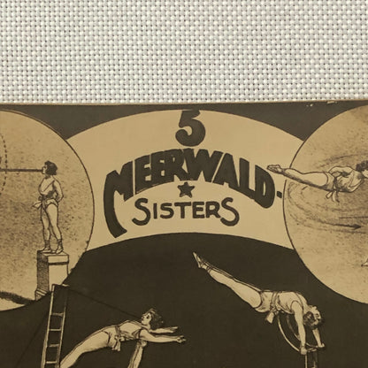 Circus Performer Postcard Post Card Acrobat Act 5 Meerwald Sisters