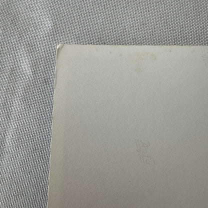 Porsche 936 Race Car Photo Photograph Print Vintage 1976