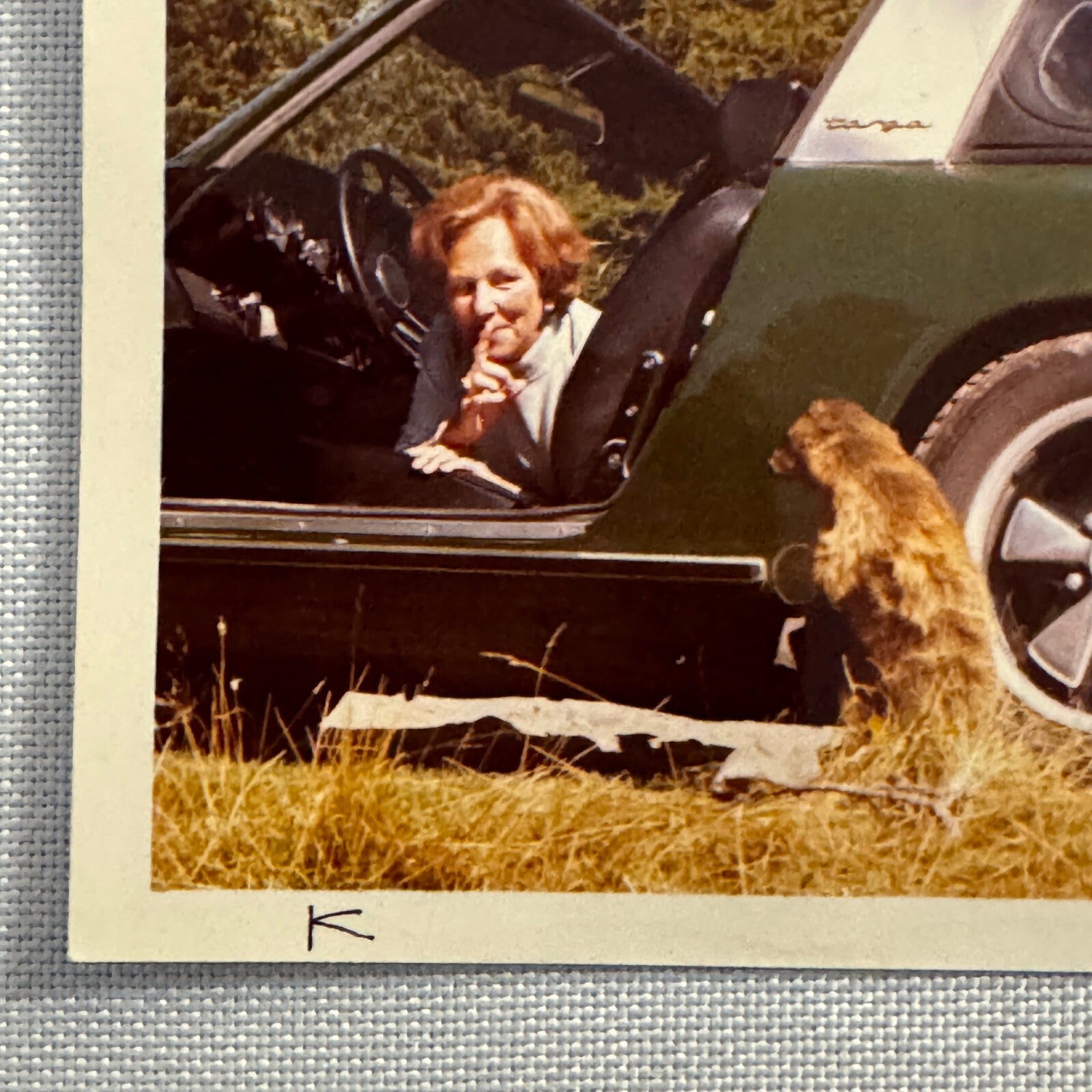 Vintage Photo Photograph Snapshot Porsche 911 Woman Animals