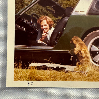 Vintage Photo Photograph Snapshot Porsche 911 Woman Animals