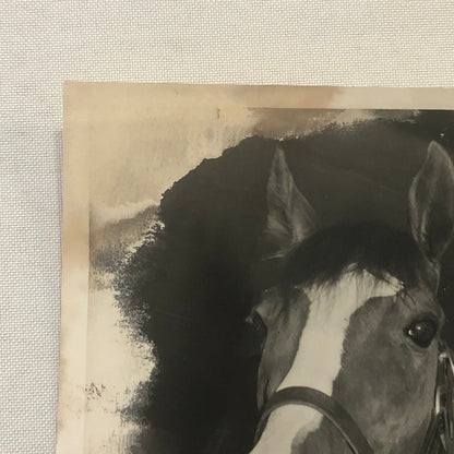 Vintage Horse Racing Photo Photograph TUROFSKY