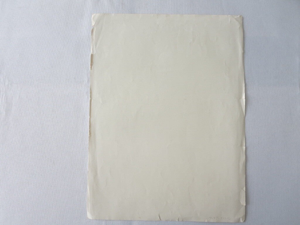 American Motors Corporation of New Jersey Special Sport Roadster Brochure