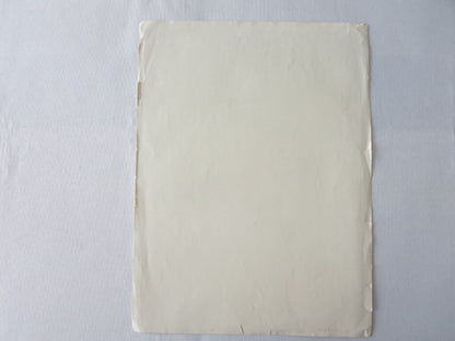 American Motors Corporation of New Jersey Special Sport Roadster Brochure