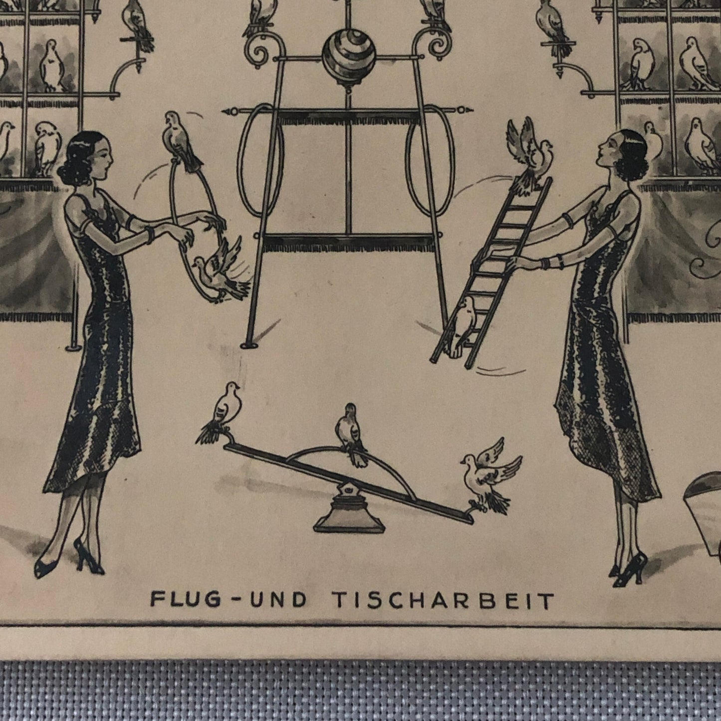 Circus Bird Training Act Postcard Post Card Gregory's Tauben Revue German