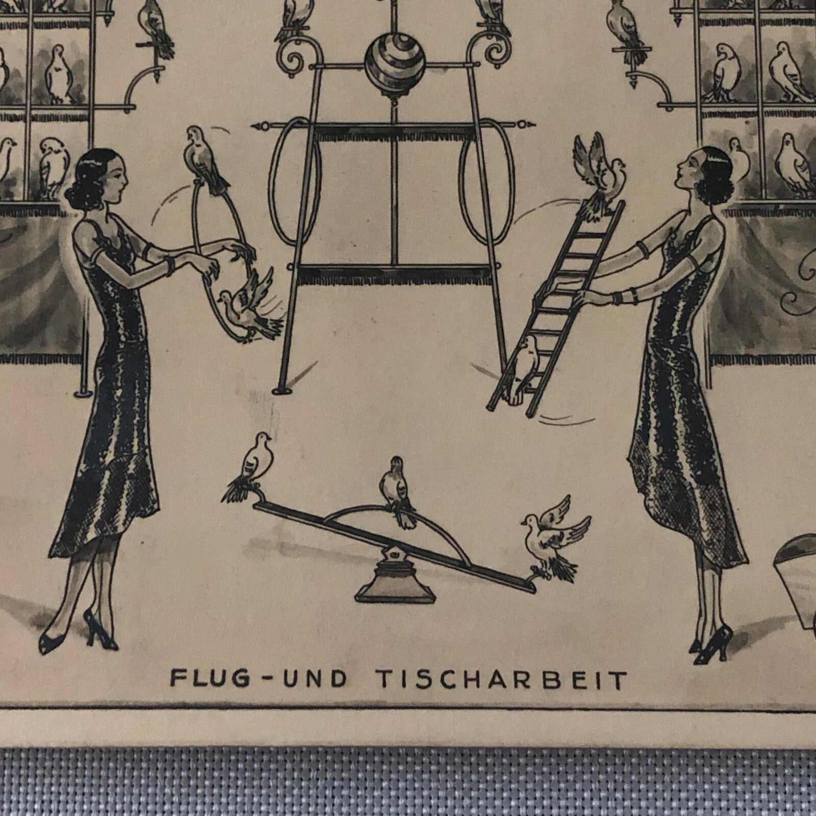 Circus Bird Training Act Postcard Post Card Gregory's Tauben Revue German