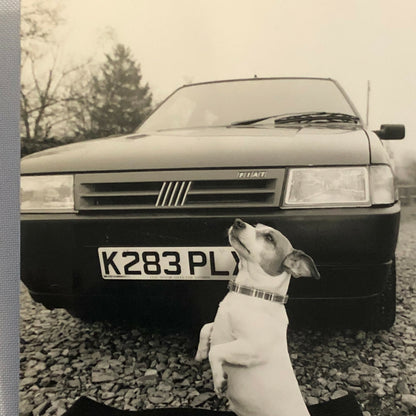 Vintage Fiat Car Factory Press Photo Photograph Print with Dog 
