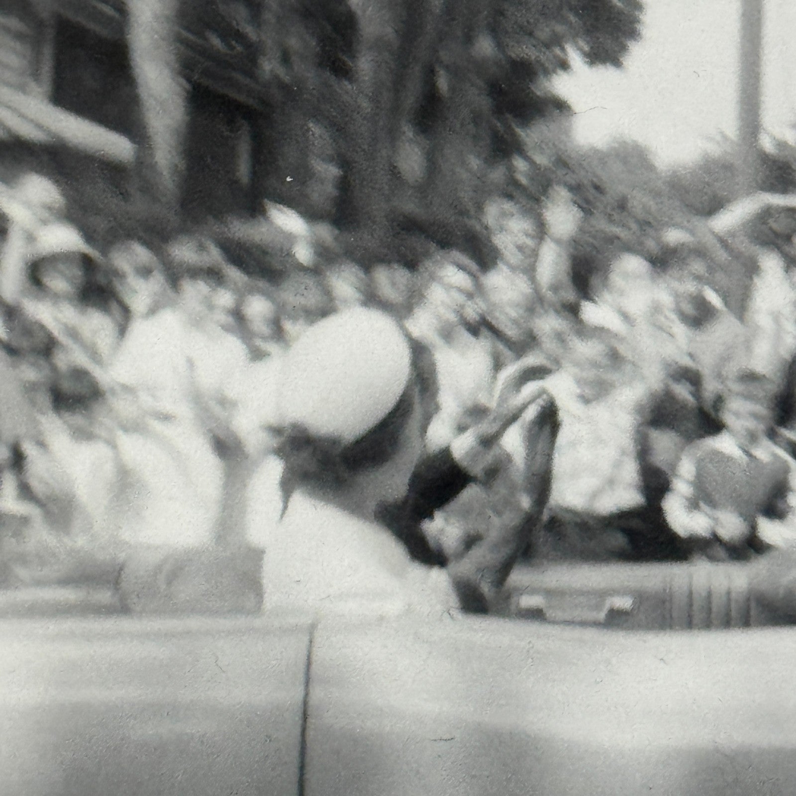 Vintage Presidential Motorcade Car Photo Lady Bird Johnson Lyndon Baines Johnson