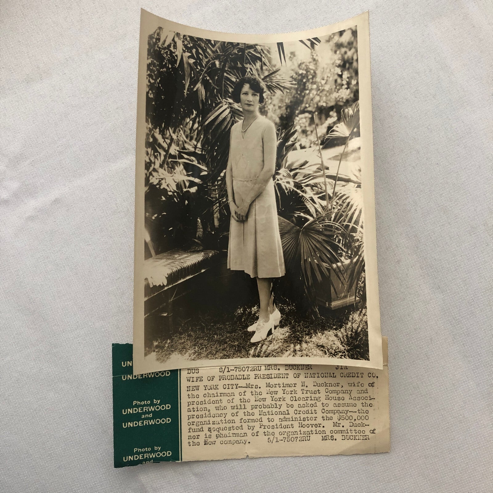 Press Photo Photograph Society Woman Mrs Mortimer N Buckner New York Trust