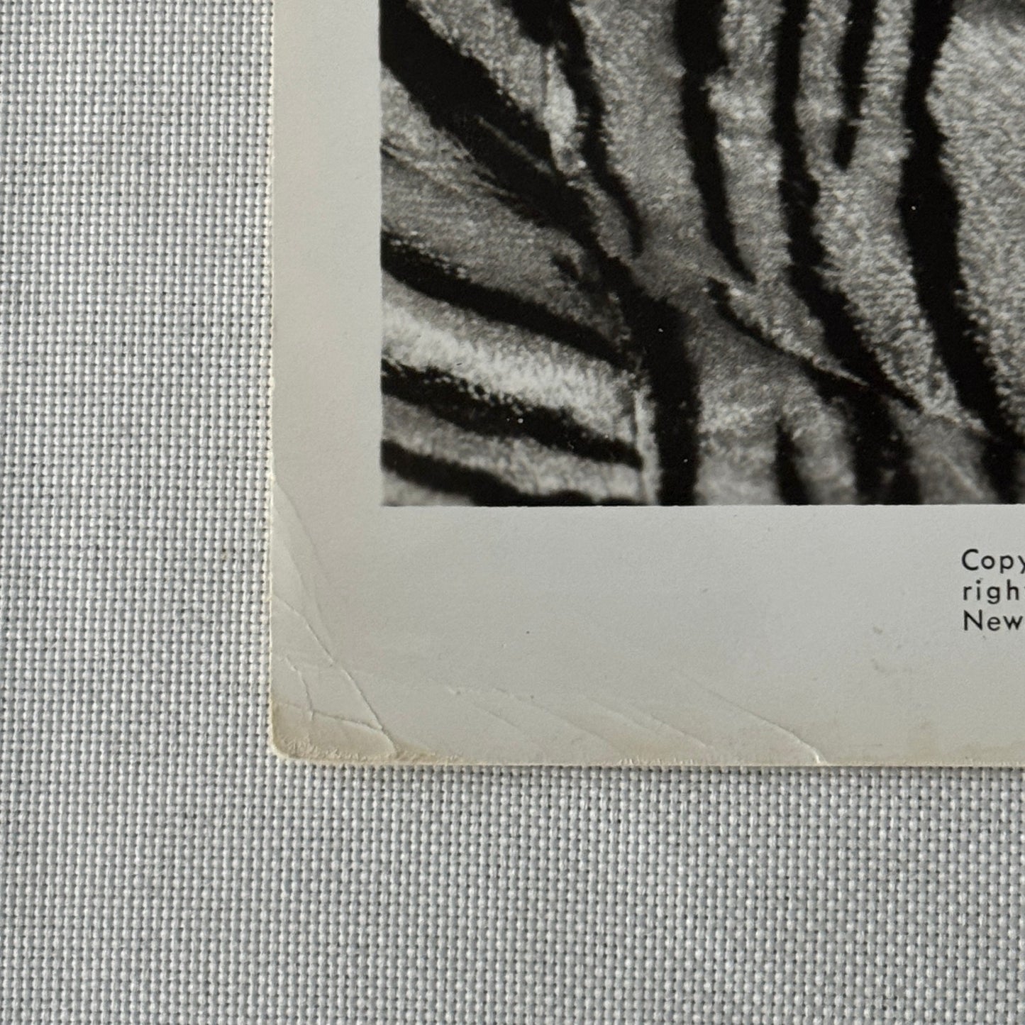 Vintage Movie Still Press Photo Photograph Kotch 1971 ABC Pictures