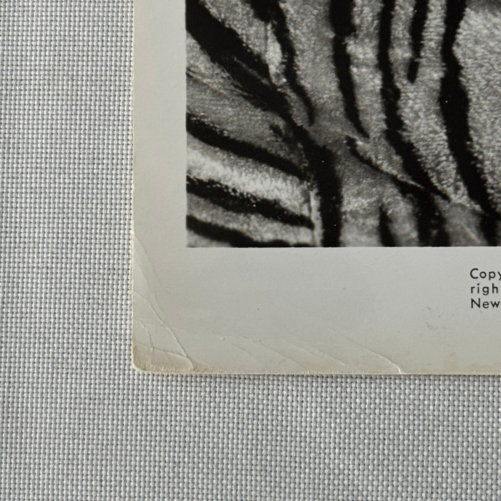 Vintage Movie Still Press Photo Photograph Kotch 1971 ABC Pictures