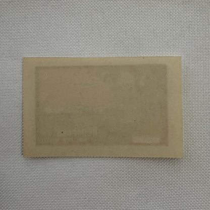 Vintage Hotel Travel Luggage Label Heliopolis Palace Hotel Cairo Egypt Egyptian