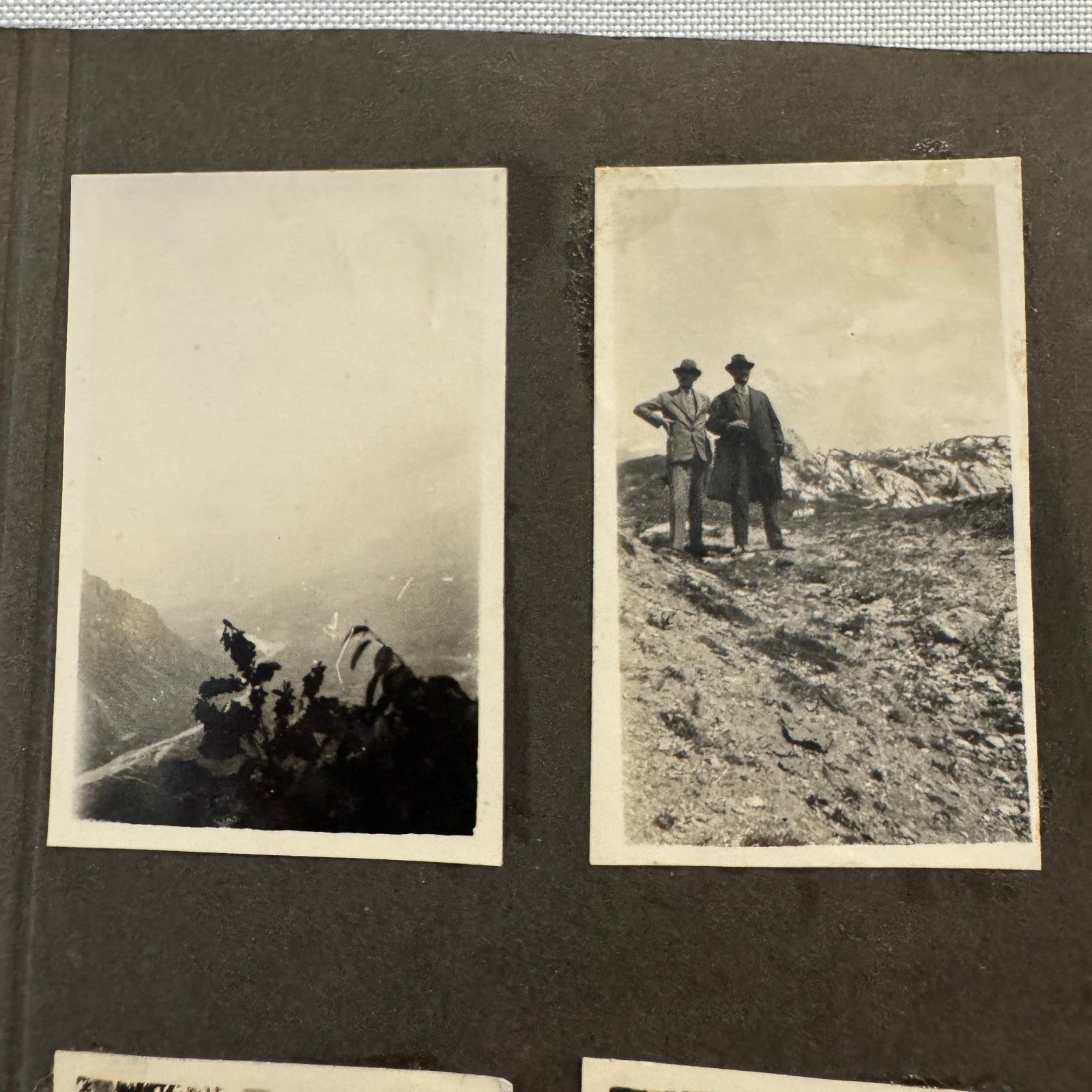 Vintage Photo Album Pages Car Automobile People Horse Cow Animals European