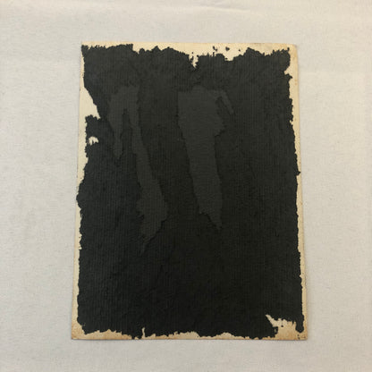 Beautiful Woman Dancer or Circus Performer Photo Photograph Print Vintage