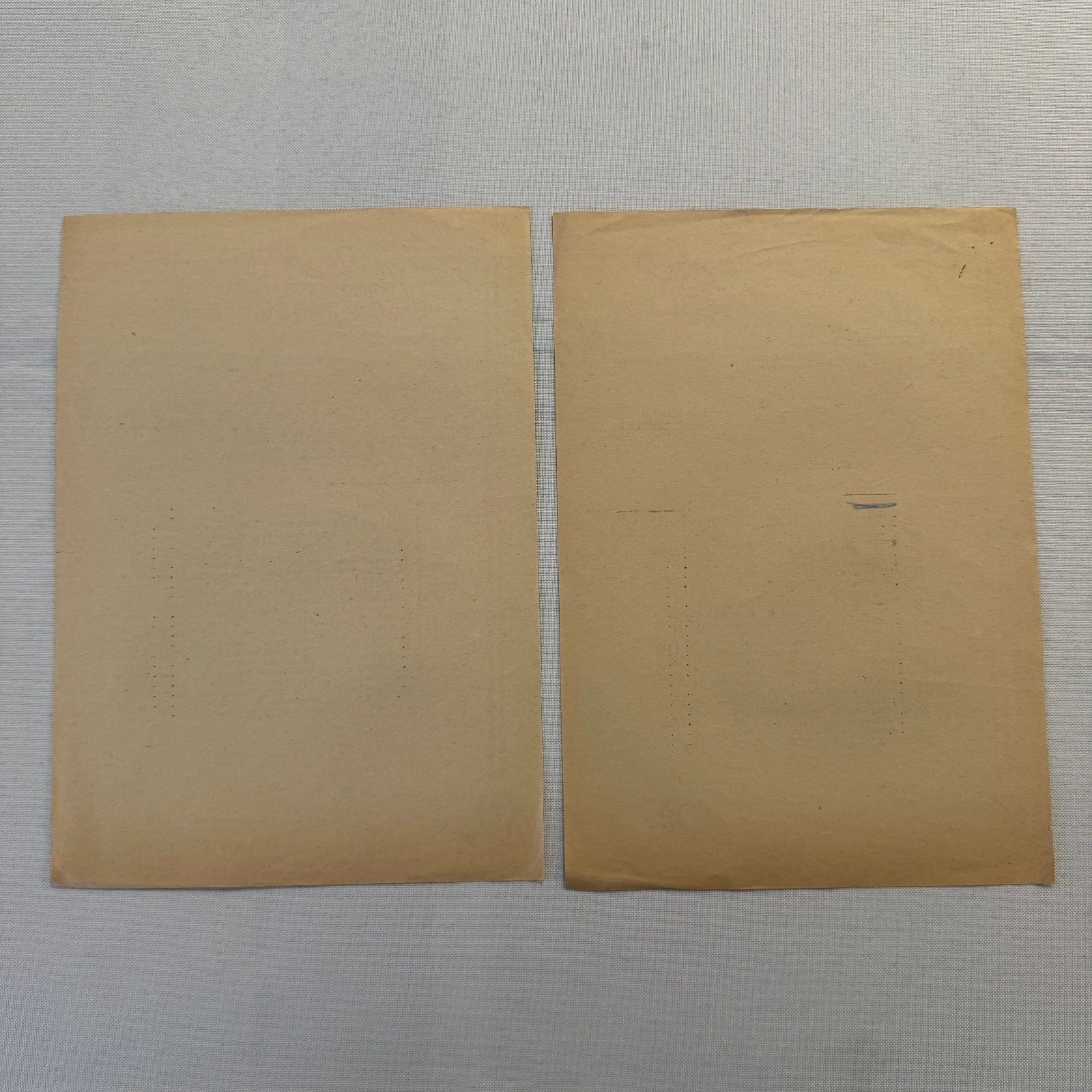 1954 AVD European Grand Prix at Nurburgring Racing Race Document Lot 2x