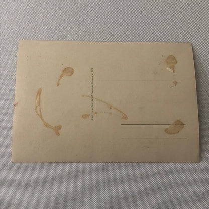 Circus Performer in Costume Real Photo Postcard Post Card RPPC Vintage European